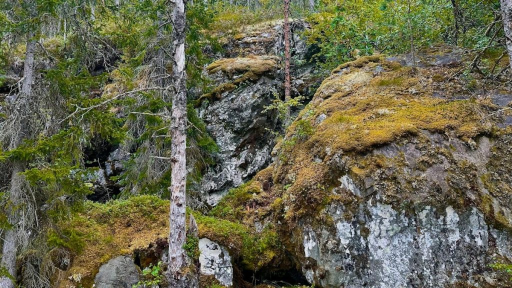 Kuidas luua tasakaalustatud toitumiskava